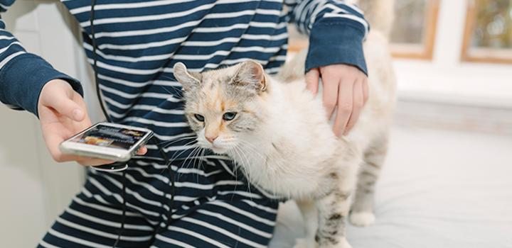 Barn som håller i en mobiltelefon och klappar en katt